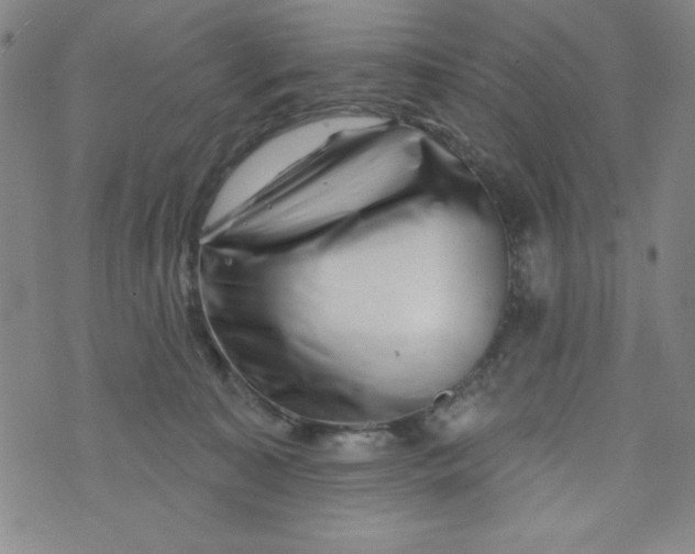 X0000073910323200609011750