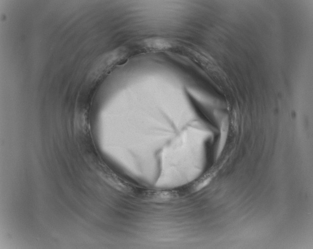 X0000073910330200609011750