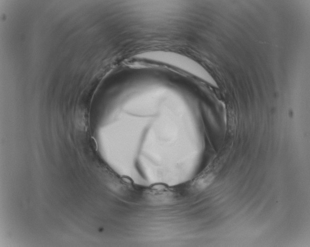 X0000073910331200609011750