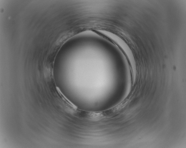 X0000073910333200609011750