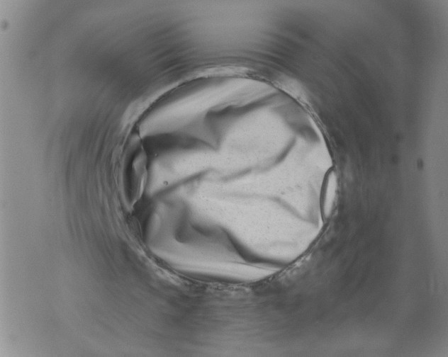 X0000073910337200609011749