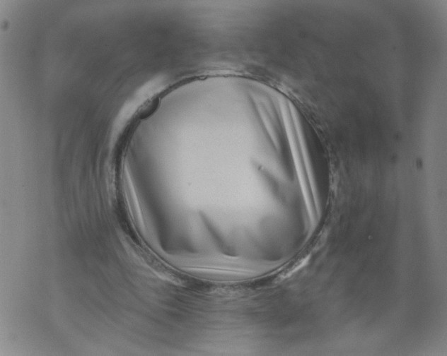 X0000073910343200609011749