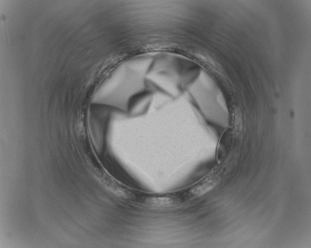 X0000073910361200609011750