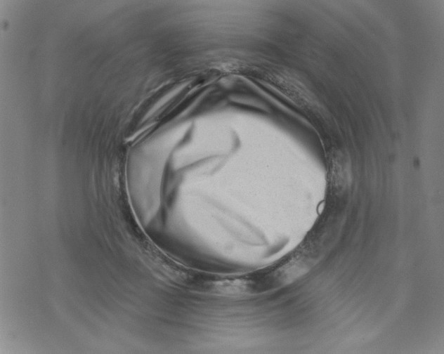 X0000073910363200609011750