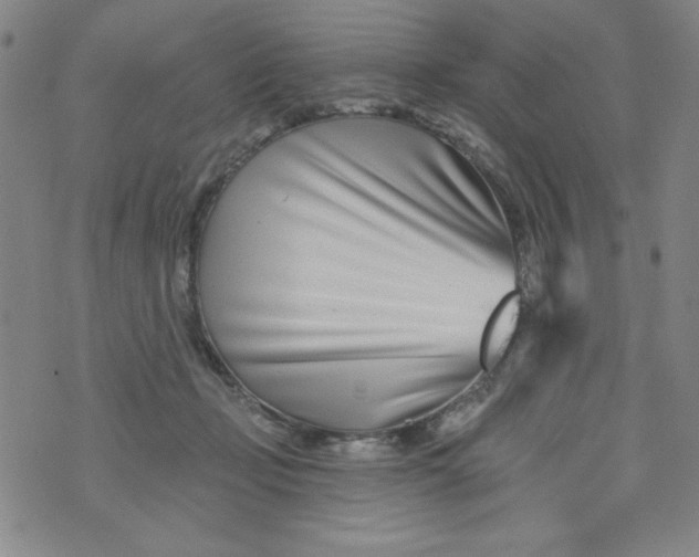 X0000073910365200609011750