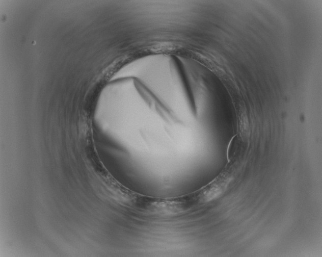 X0000073910367200609011750