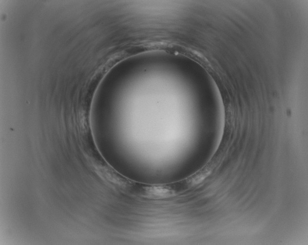 X0000073910380200609011750