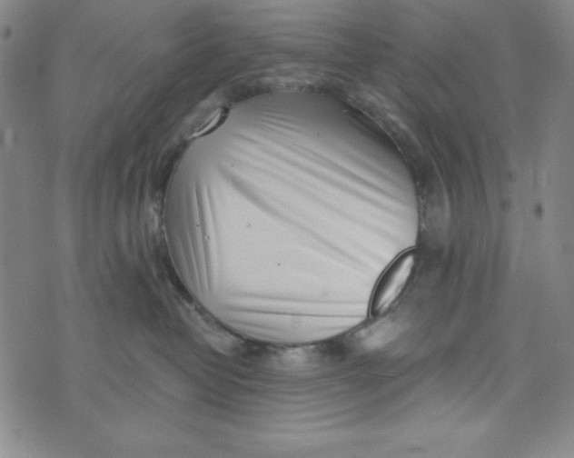 X0000073910382200609011750