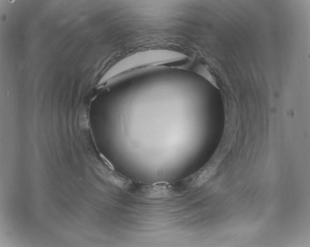 X0000073910384200609011750