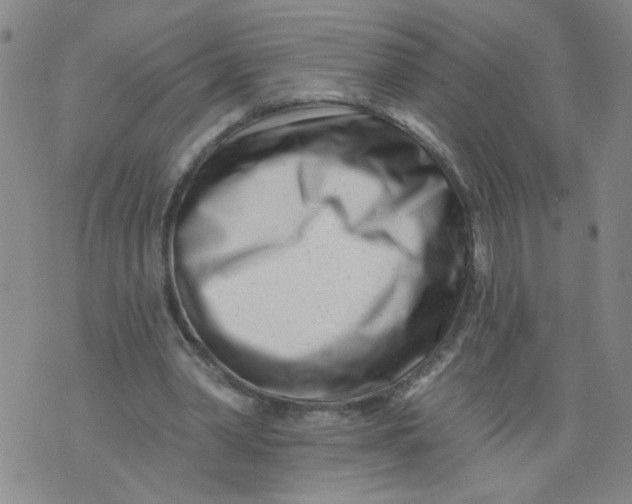X0000073910390200609011749