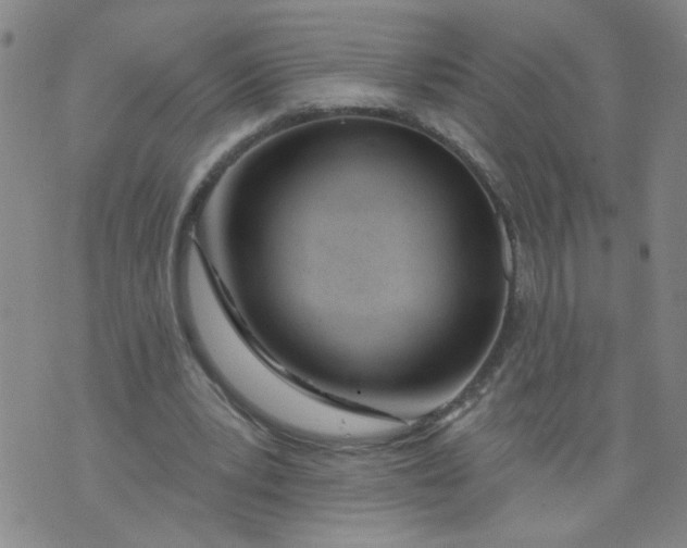 X0000073910391200609011749