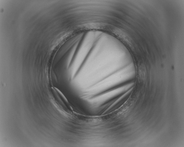 X0000073910398200609011749