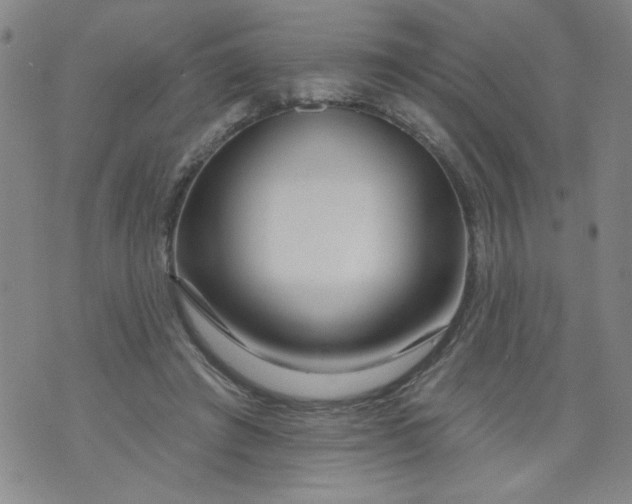 X0000073910401200609011749