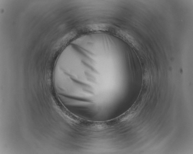 X0000073910402200609011749