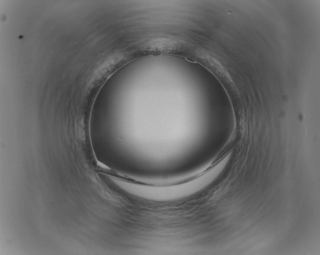 X0000073910403200609011749