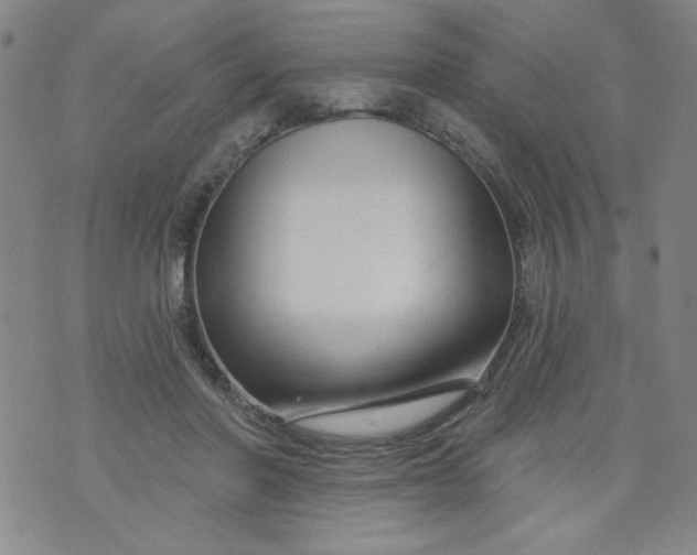 X0000073910406200609011749
