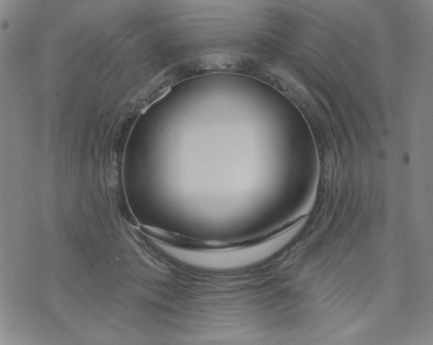 X0000073910413200609011749