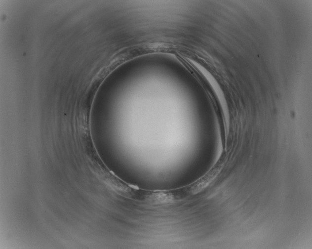 X0000073910421200609011749