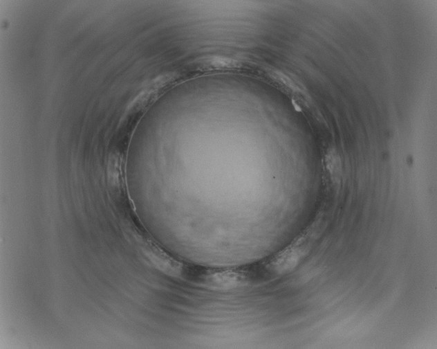 X0000073910423200609011749