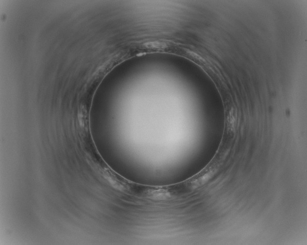 X0000073910424200609011749