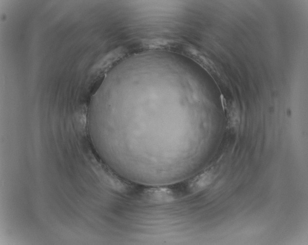 X0000073910427200609011749