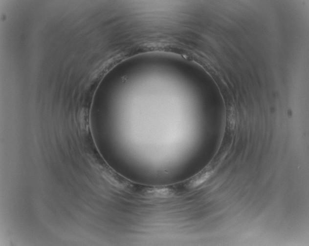 X0000073910428200609011749