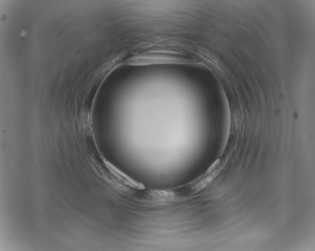 X0000073910429200609011749