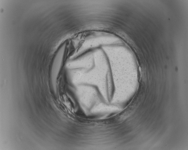 X0000073910434200609011748