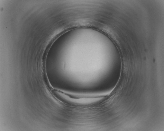 X0000073910439200609011748