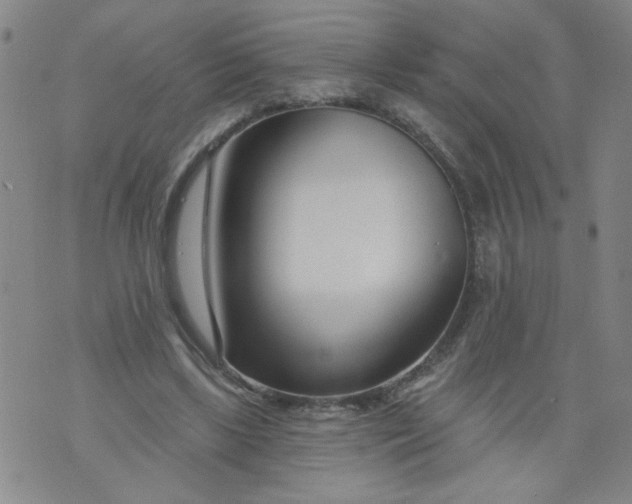 X0000073910443200609011748