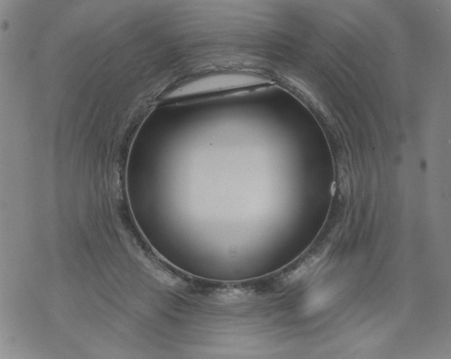 X0000073910453200609011748