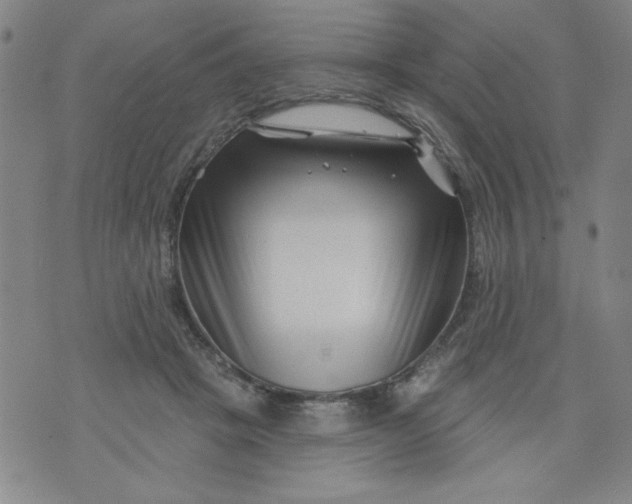X0000073910457200609011748