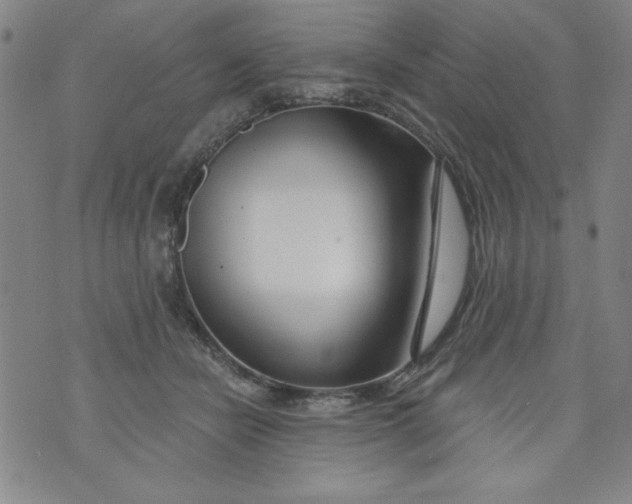 X0000073910462200609011748