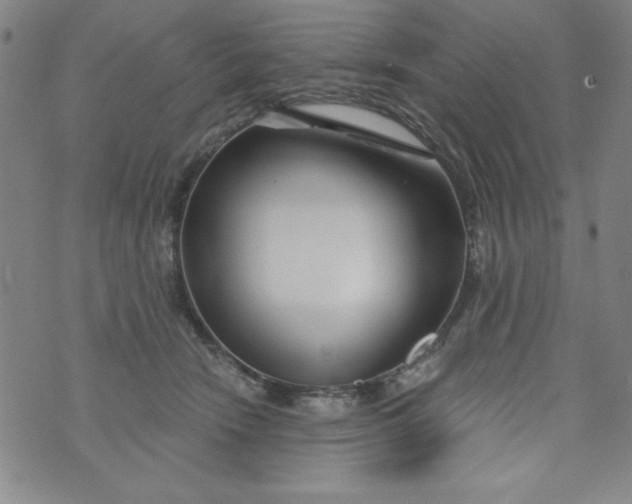 X0000073910466200609011748