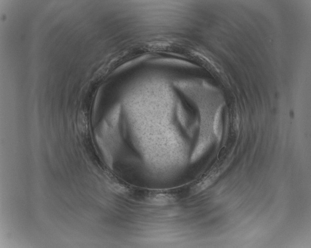 X0000073910467200609011748