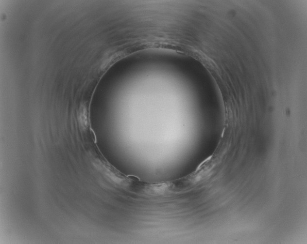X0000073910479200609011748