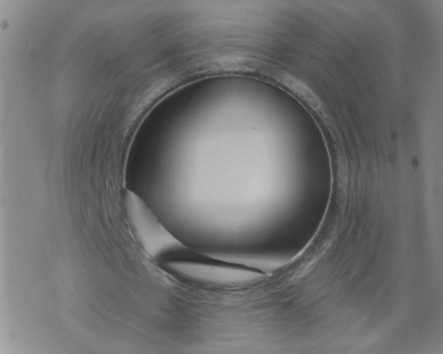 X0000073910481200609011748