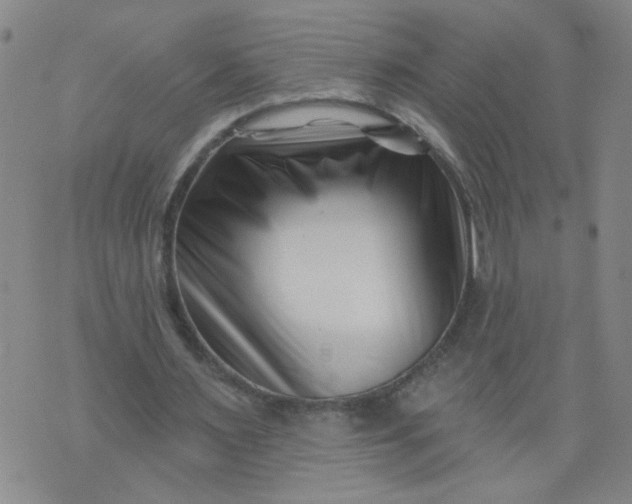 X0000073910483200609011748