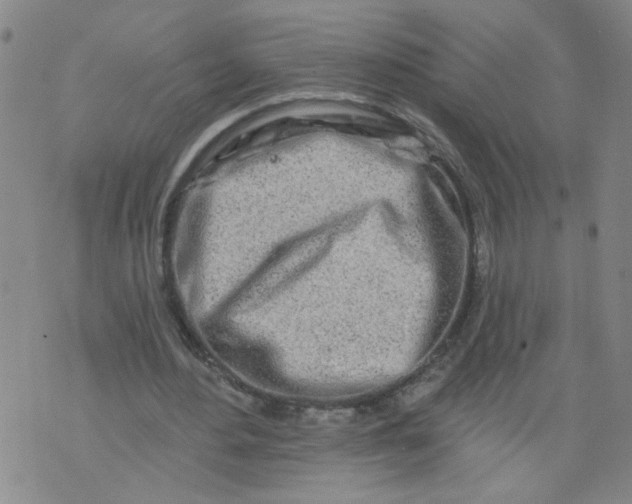 X0000073910484200609011748