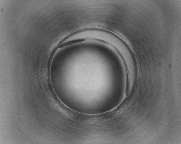 X0000073910485200609011748