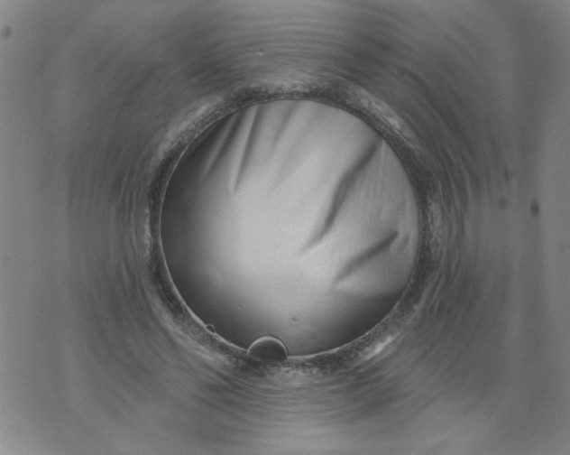 X0000073910494200609011747