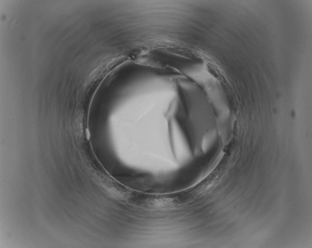 X0000073910501200609011747