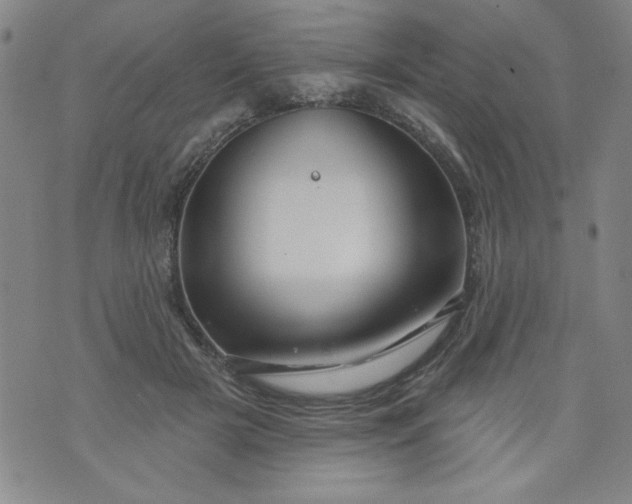 X0000073910505200609011747
