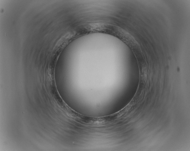 X0000073910506200609011747