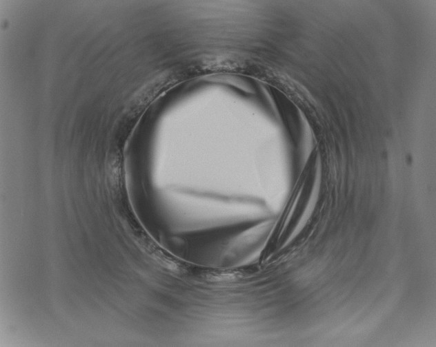 X0000073910513200609011747