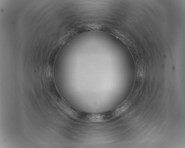 X0000073910518200609011747