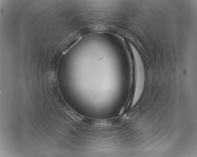 X0000073910521200609011747