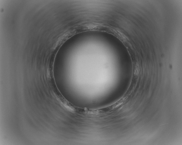 X0000073910524200609011747