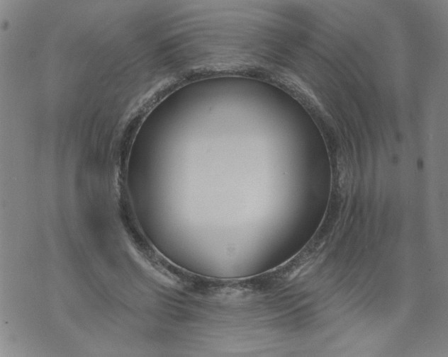 X0000073910542200609011746