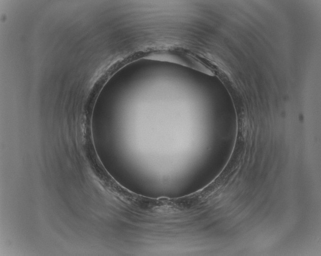 X0000073910544200609011746